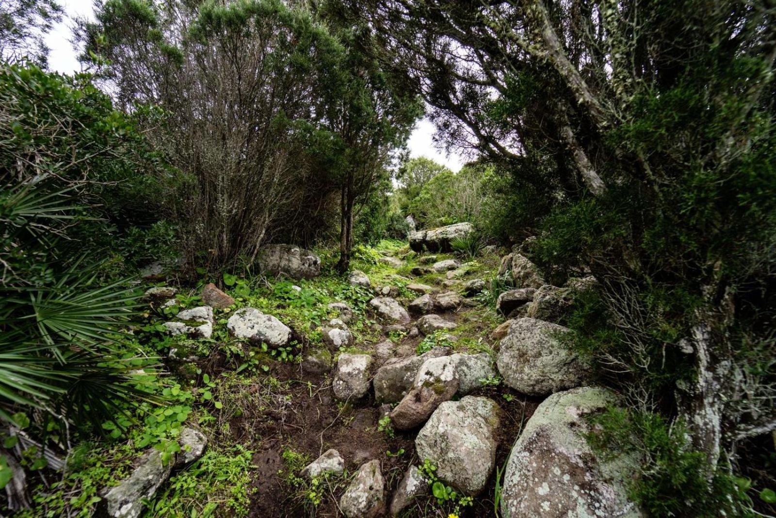 Casa Peppina Daire SantʼAntìoco Dış mekan fotoğraf